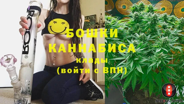 амф Няндома