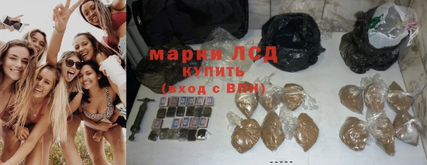 стаф Нязепетровск