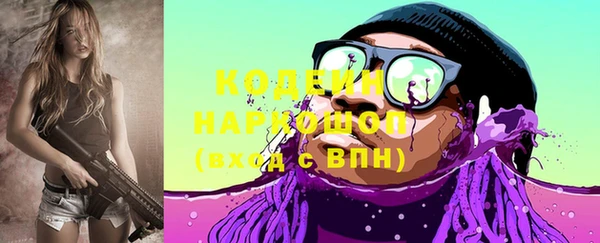 амф Няндома
