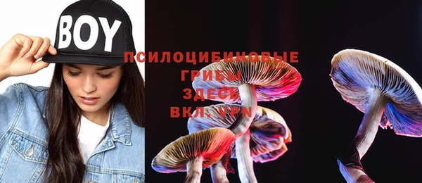 амф Няндома