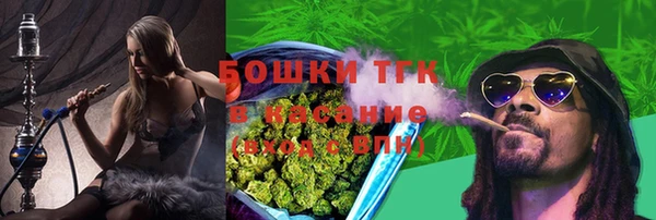 амф Няндома